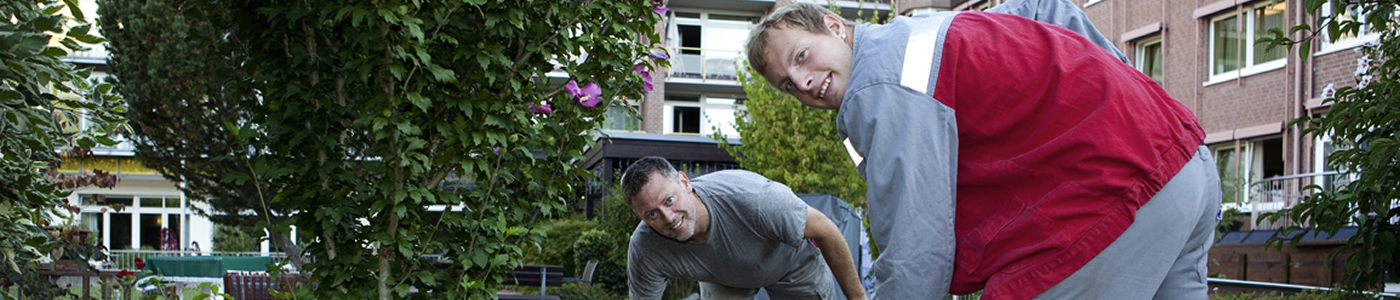 Zwei Männer arbeiten im Garten